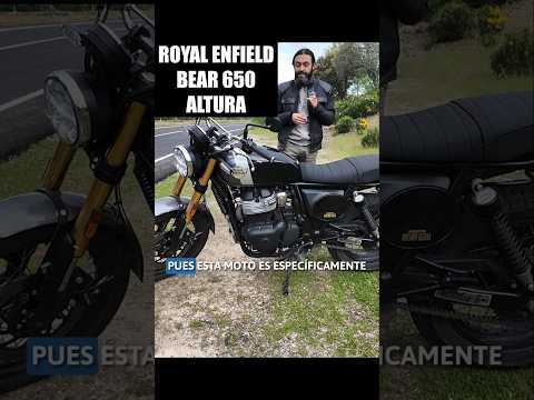 Altura de la Royal Enfield Bear 650 #motos #royalenfield