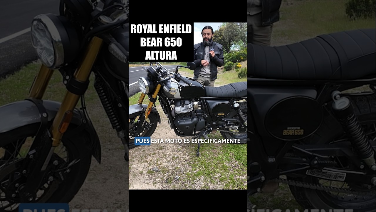 ¿Cuál es la Altura de la Royal Enfield Bear 650? 🏍️