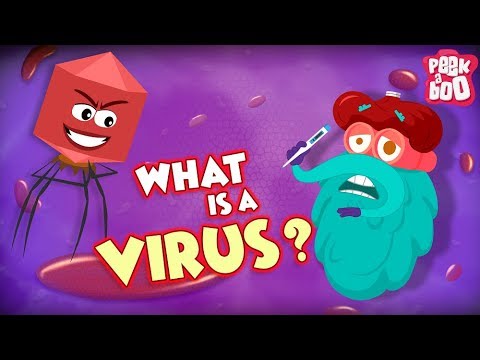 What Is a Virus? | Fun Learning for Kids 🦠