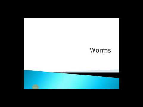 MOD 4-WORMS IN PRINCIPLES OF INFORMATION SECURITY IN MALAYALAM |EASY CSE LECTURES