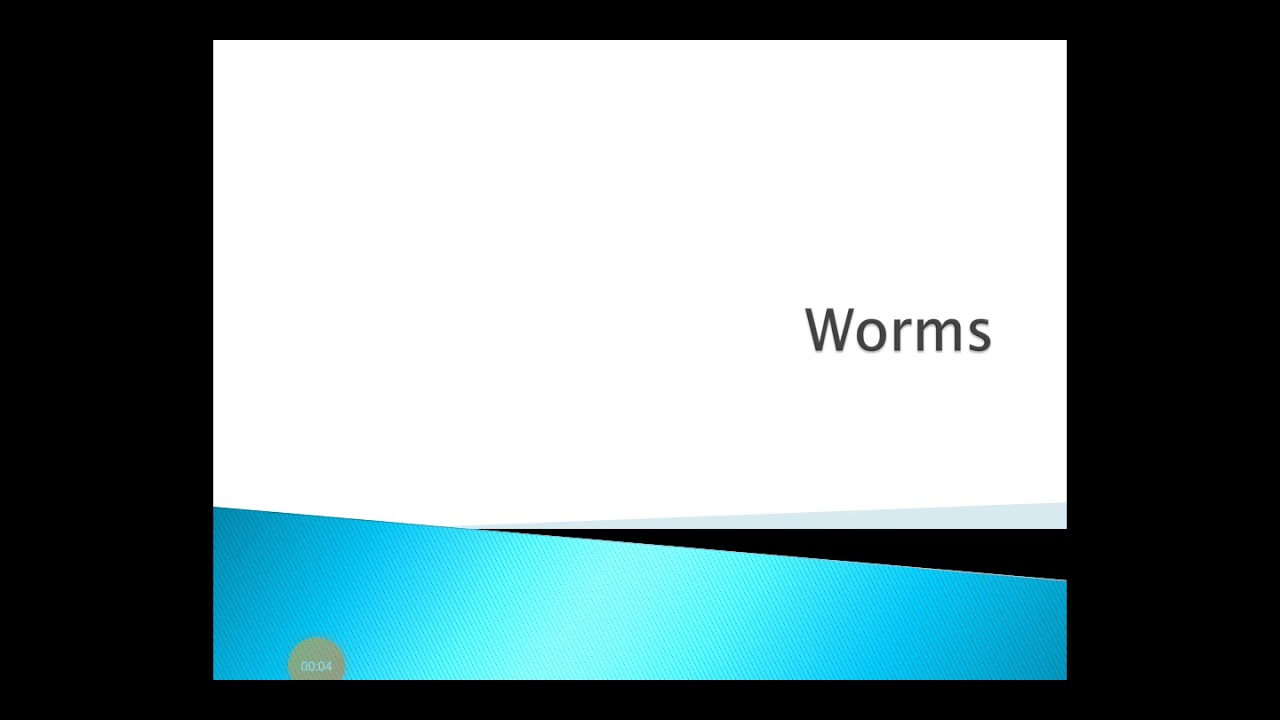 Module 4: Worms in Principles of Information Security - Malayalam