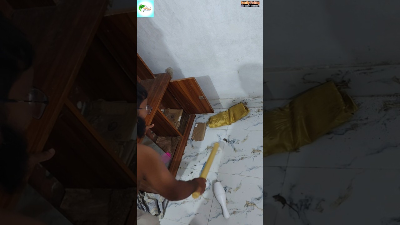 ইঁদুরের সাথে মানুষের যুদ্ধ: দেখুন এক অনন্য বিনোদন! 🐭