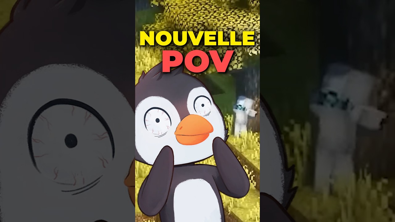 Nouvelle POV dans Minecraft ? 🤔