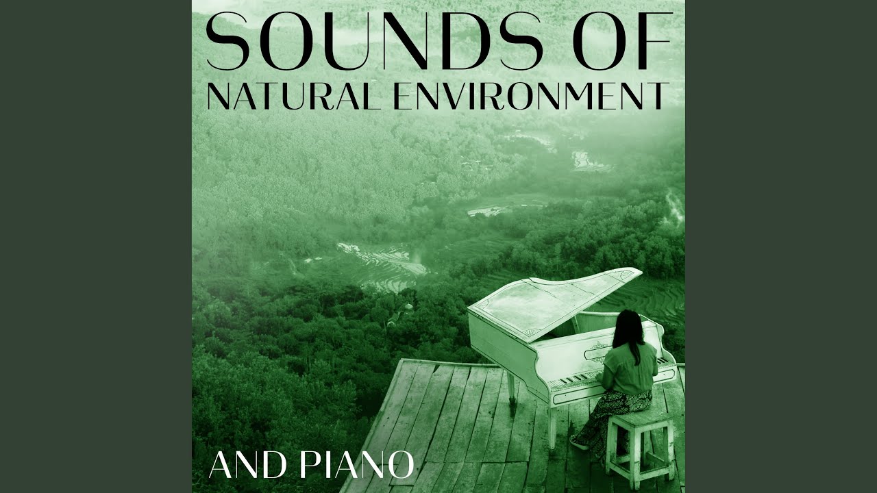 Serene Ambiance by Silver Piano Music Academy 🎶