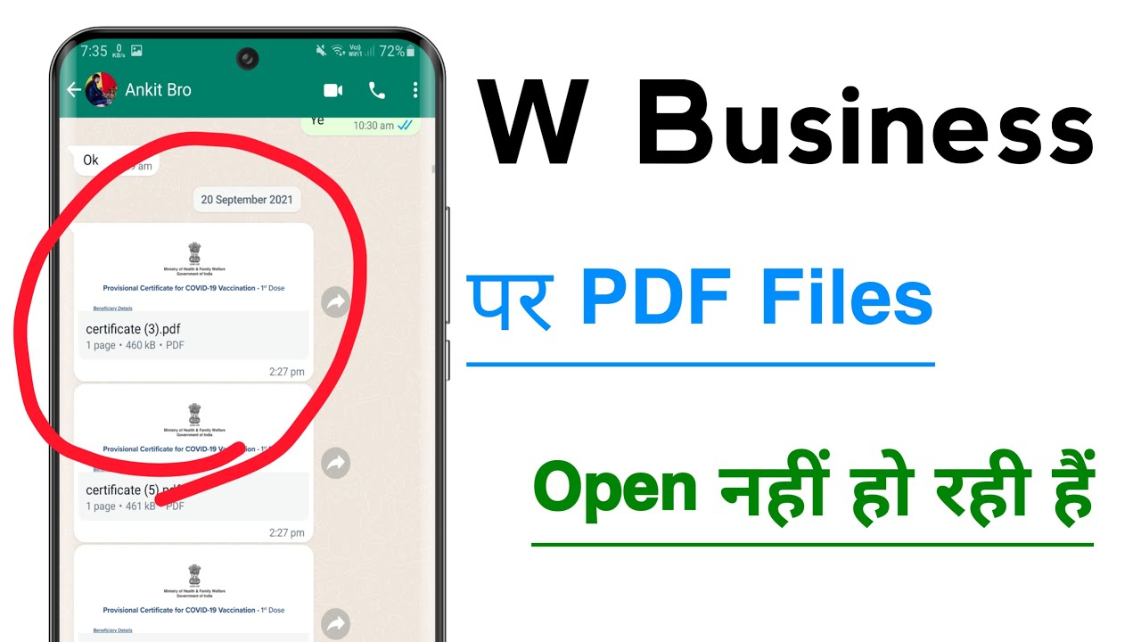 Business WhatsApp PDF Not Opening? Fix for 2024
