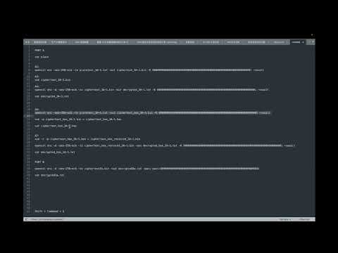 CRYPTOGRAPHIC ENGINEERING Assignment2 Lab1