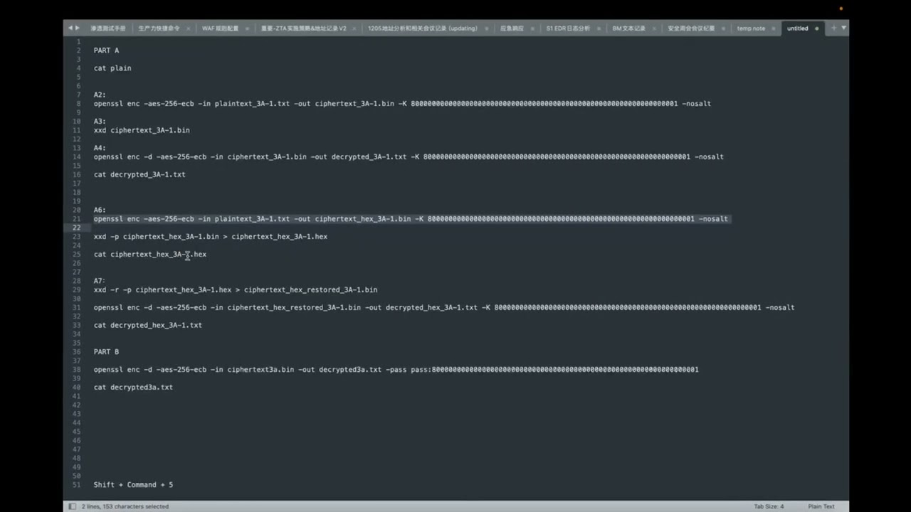 Cryptographic Engineering Lab 1: Essential Concepts & Hands-On Exercises 🔐