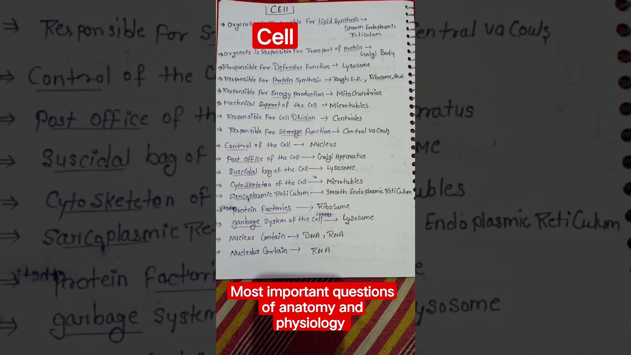 important questions of anatomy and physiology 💯#anatomy #viral #tissue #video