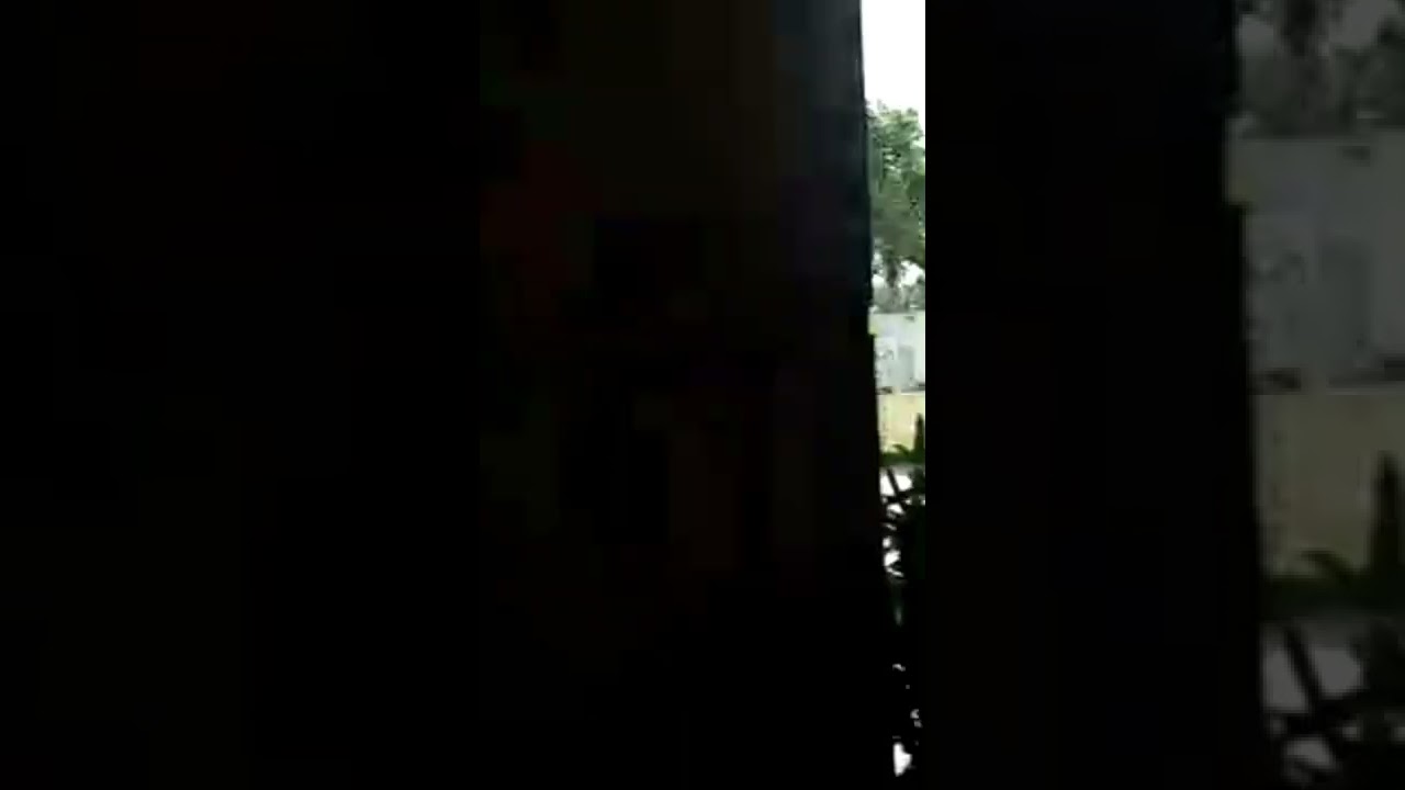 Citywalk Mall: South Delhi's Largest Mall 🏬