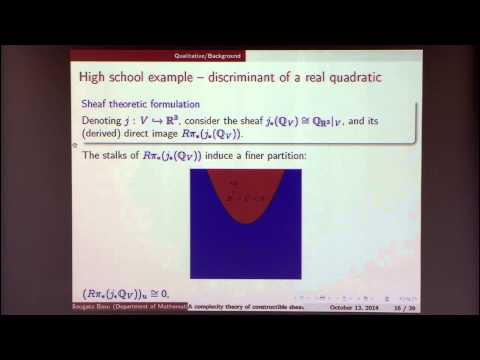A Complexity Theory for Constructible Functions and Sheaves