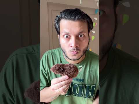 FOOD BALL 🥣⚾ #shorts #youtubeshorts #cricket #unboxing #ball #funny