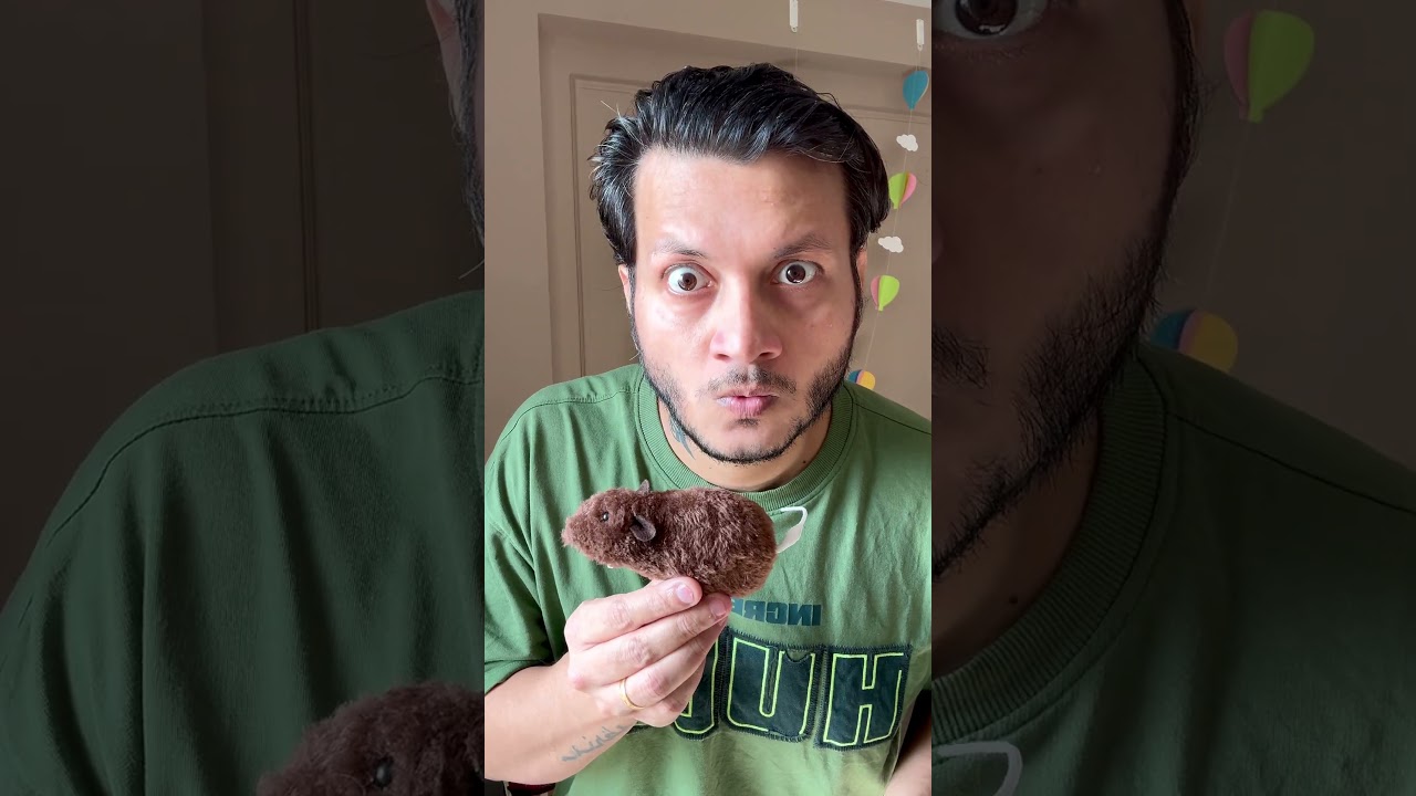 Hilarious Food Ball Cricket βΎπ₯£ | Unboxing & Funny Moments! #Shorts