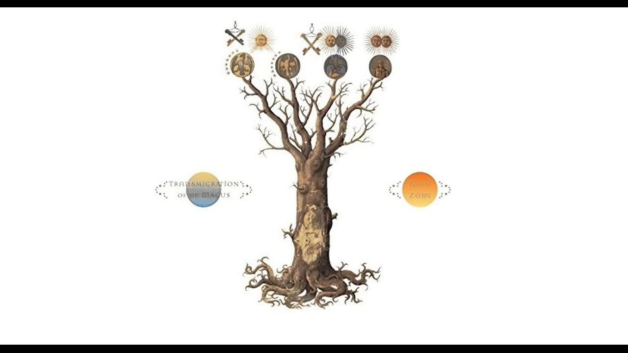 John Zorn's 'Perfect Mind' from the 2014 Album 'Transmigration Of The Magus' 🎶