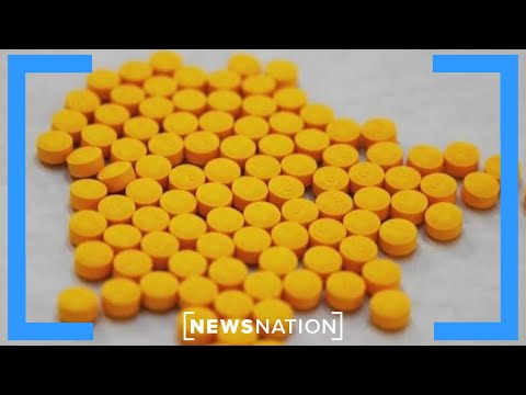 How cartels continue to move fentanyl into the US | NewsNation Now