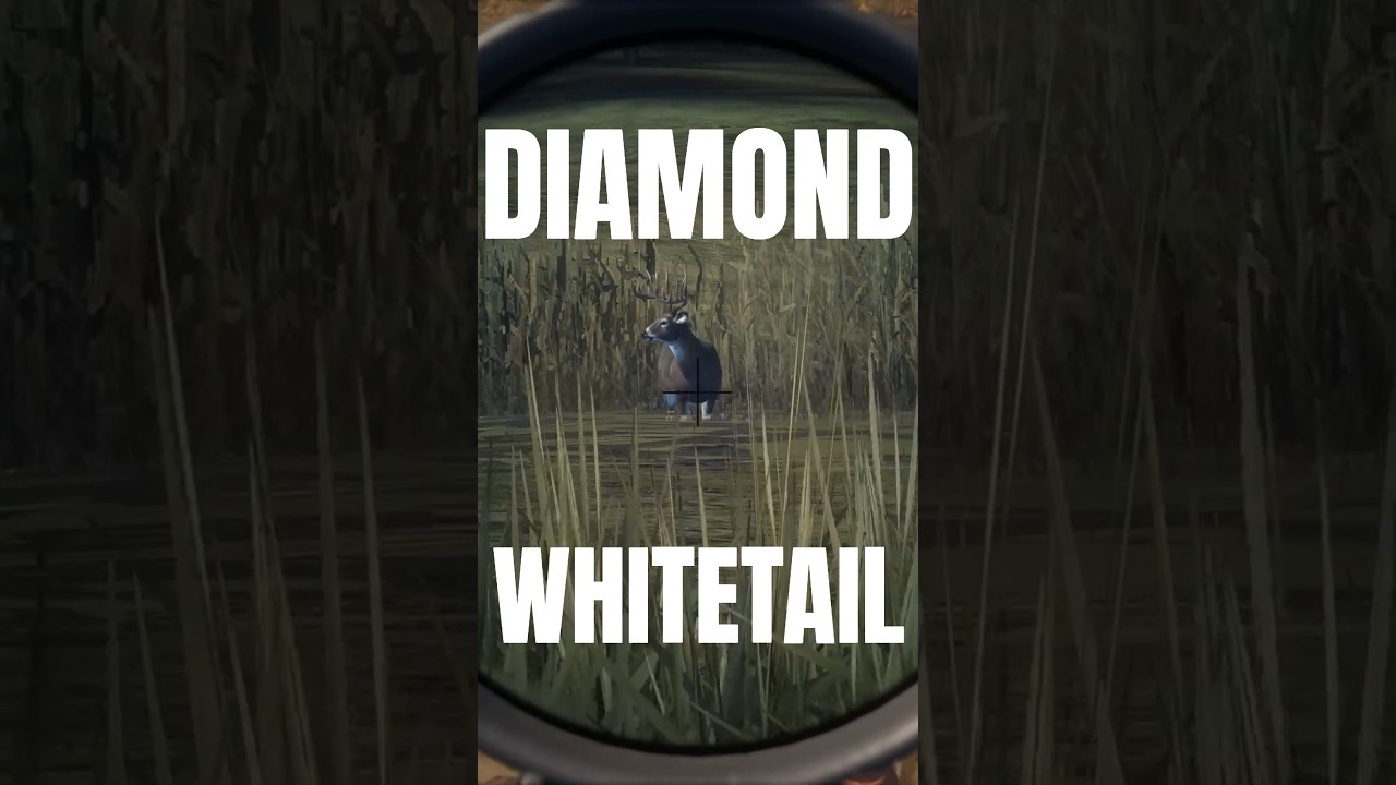 My First Diamond Whitetail π¦ | theHunter: Call of the Wild