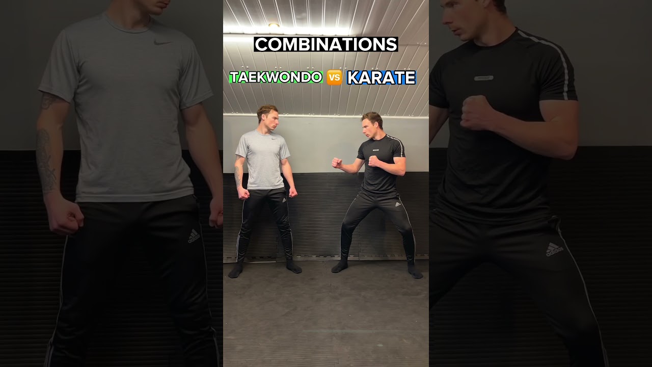 Taekwondo vs Karate | Techniques and Combinations
