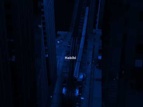 Habibi - Ricky Rich & Aram Mafia | Lyrics | Aesthetic | Slowed | Edit | #music