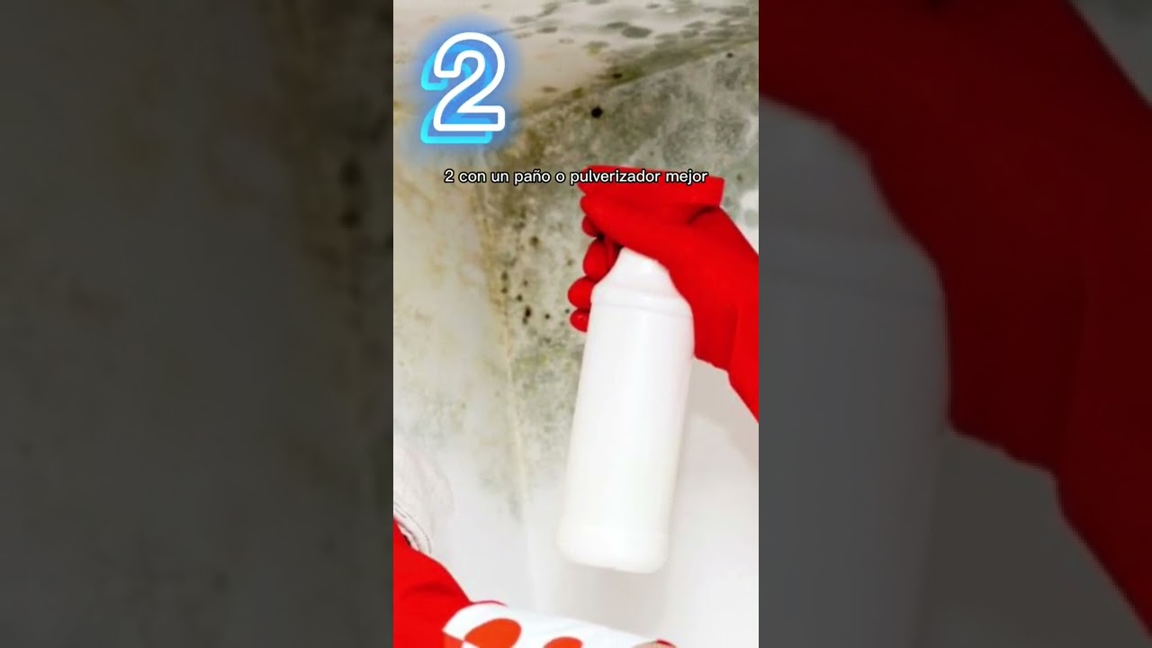 ¡Adiós al Moho! Guía Fácil para Eliminarlo de Paredes Húmedas 🧴