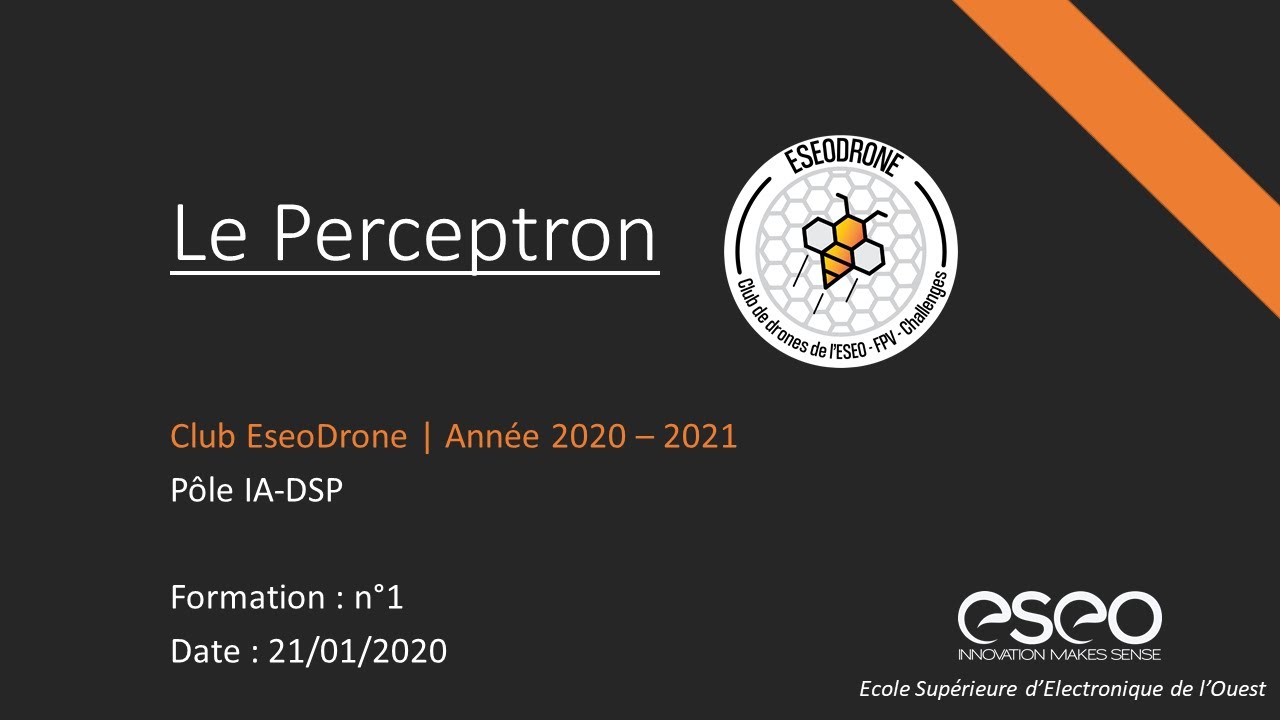 Formation IA-DSP #1 : Le perceptron par Sébastien Pradier