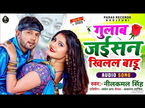 Neelkamal's Gulab Jaisan Khilal Badu 🌸