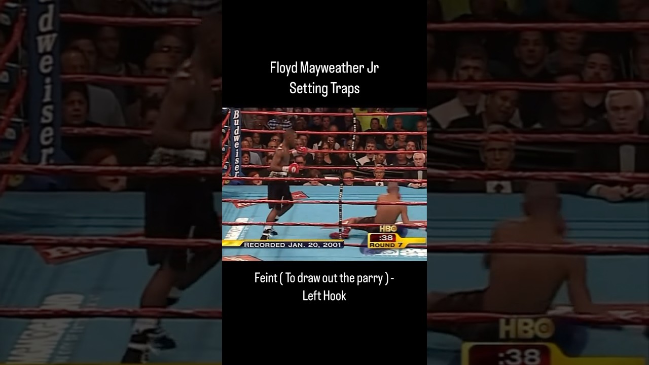 Floyd Mayweather's Top Boxing IQ 🥊