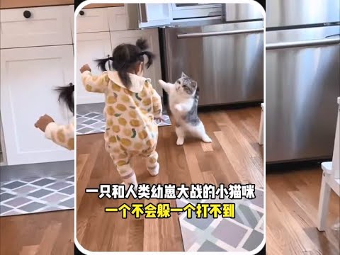 一只和人类幼崽大战的小猫咪，一个不会躲一个打不到 #宠物故事 #动物故事 #暖心故事