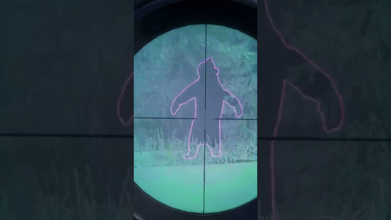 Accidental Shot on Melanistic Bear π» | theHunter: Call of the Wild