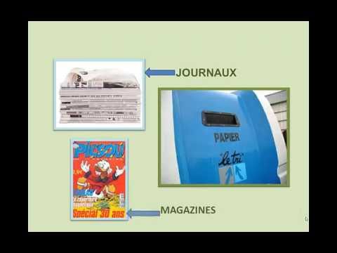 Écologie pour Enfants 🌱