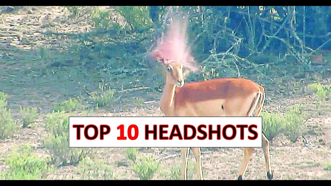 10 Top 10 Hunting Headshots of 2025 🦌