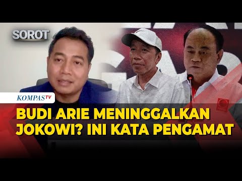Budi Arie ke Gerindra Perlahan Meninggalkan Politiknya Jokowi? Ini Kata Pengamat Adi Prayitno