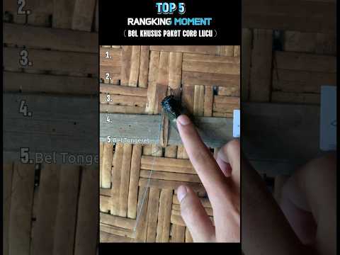 Top 5 BeL Paket Core Lucu 😂