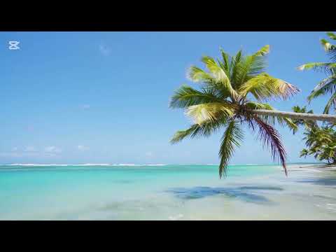 Alisher Konysbaev - 4 Mausym (Lyrics/Текст/Сөзі) Өткізгім келеді сеніменен 4 маусымын жылдың