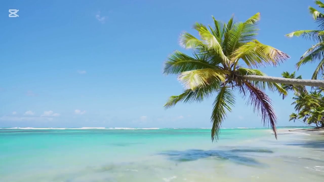 Alisher Konysbaev - 4 Mausym Lyrics 🎶