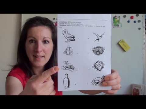 GS Les Rimes 2: Loup et Louve 🐺