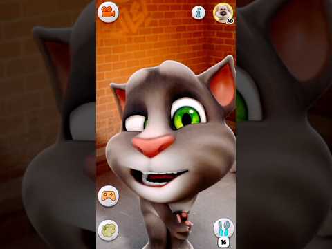 Just Calm down Tom Guys   🤣🤠🍏☘️🌴🌲🕺🦋👻🍍🍄🍎🌶🤸🍮🍉🥯