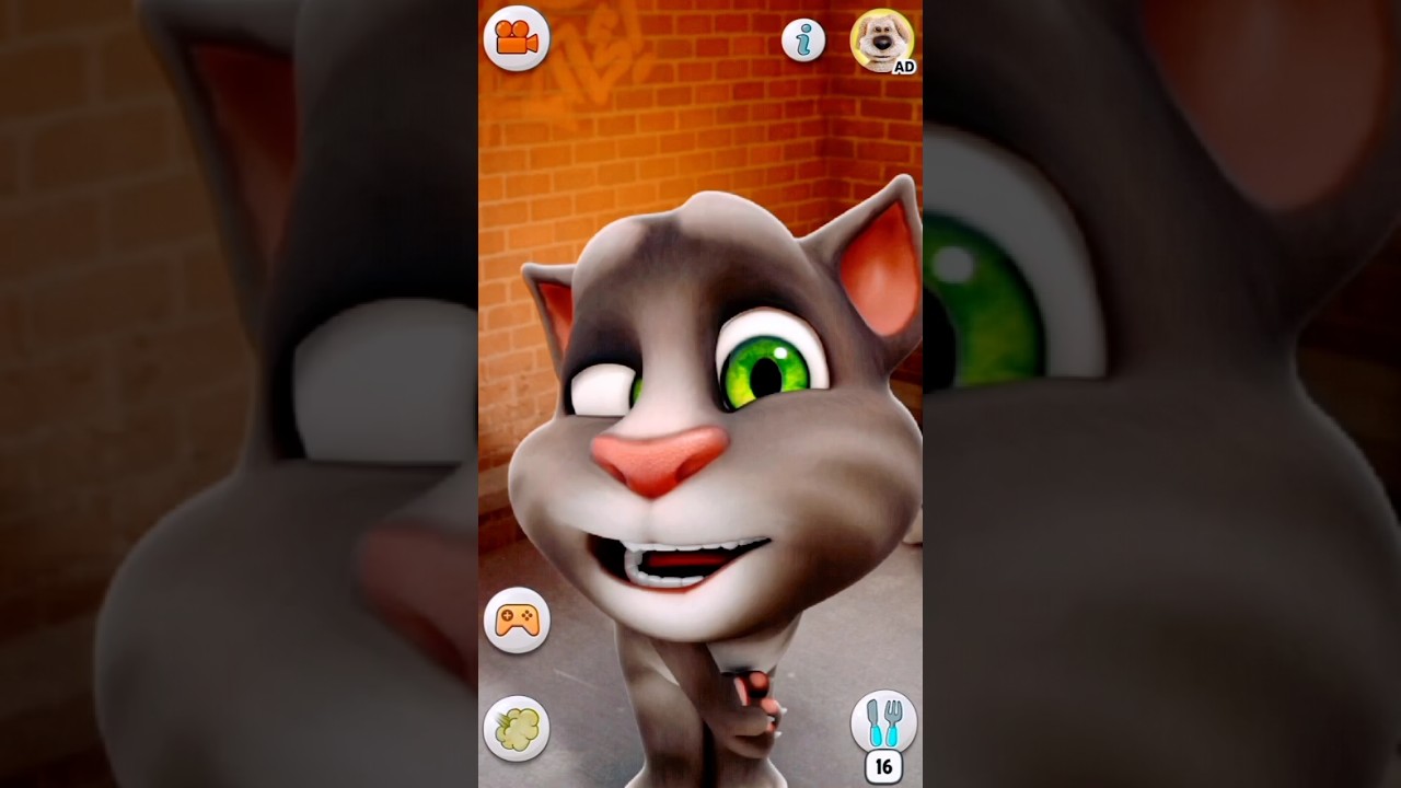 ๐ Relax, Tom! Hilarious Moments You Can't Miss! ๐