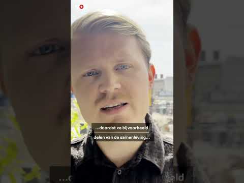 AFD bestempeld als rechts-extremistisch