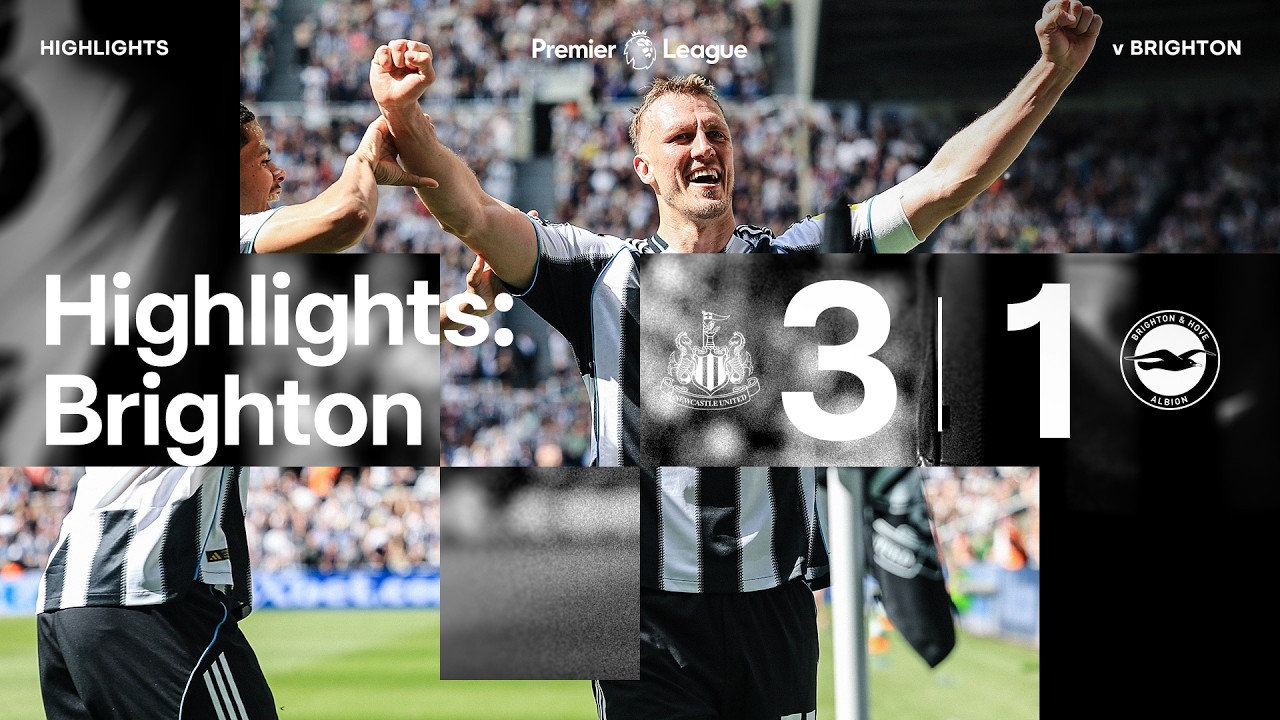 Newcastle United 3-1 Brighton | Premier League Highlights