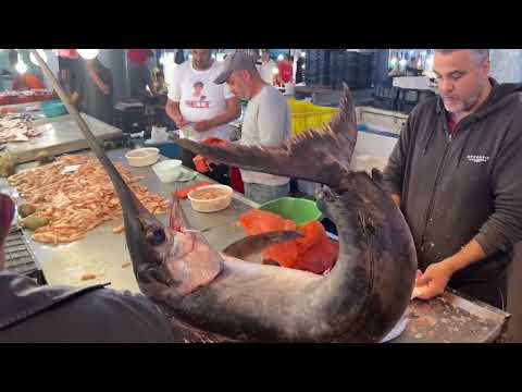 Bizerte Tunisie: Le marché aux poissons 🐠🐟