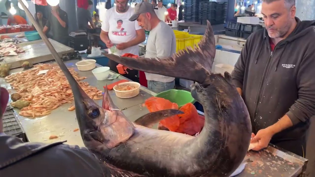 Découvrez le Marché aux Poissons de Bizerte en Tunisie 🐟