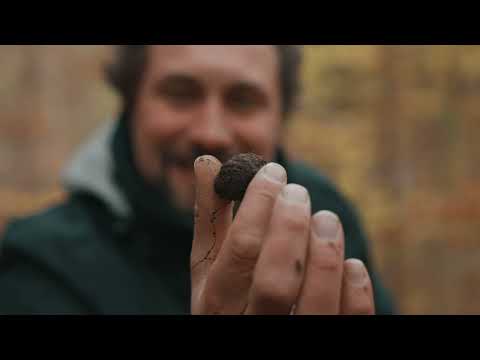 Trüffel suchen in Deutschland: Einblick in die Trüffelsuche im Allgäu mit Simon von Gourmet & Meer