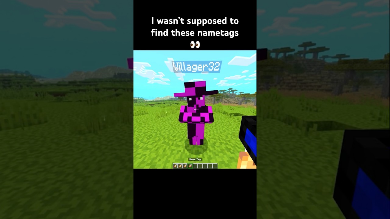 Minecraft, But SECRET NAMETAGS...