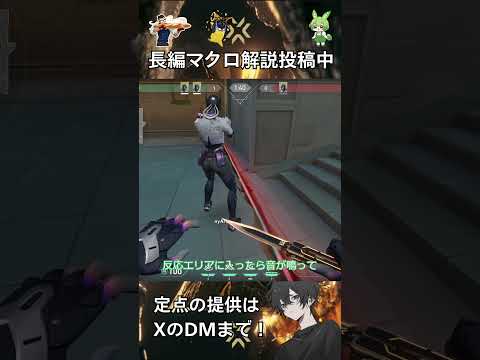【ヴァイス】壁をせーので越えやすくなったよって話#valorant #vct #ヴァロラント #ずんだもん #vtuber