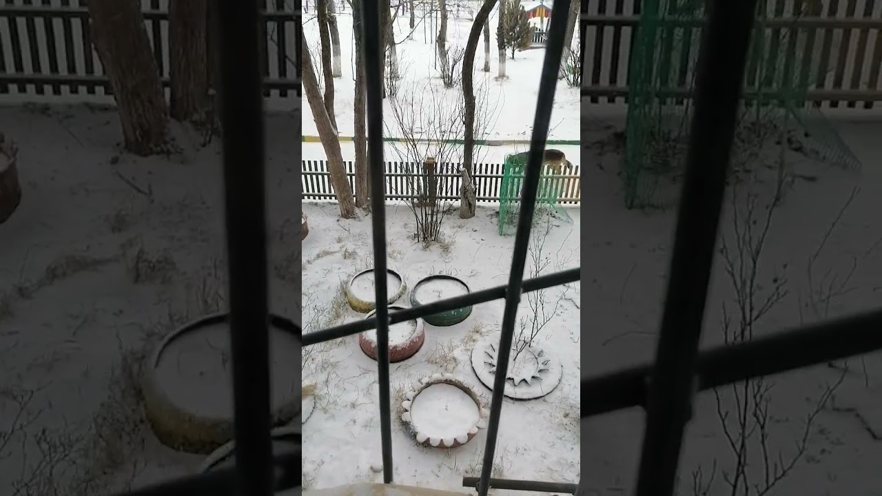 Погода в Чите 7 декабря 2023 года: Узнайте текущие условия ☀️