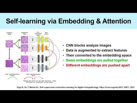 AI in Medicine Seminar at Wisconsin Radiology by Ge Wang on Aug. 19, 2024