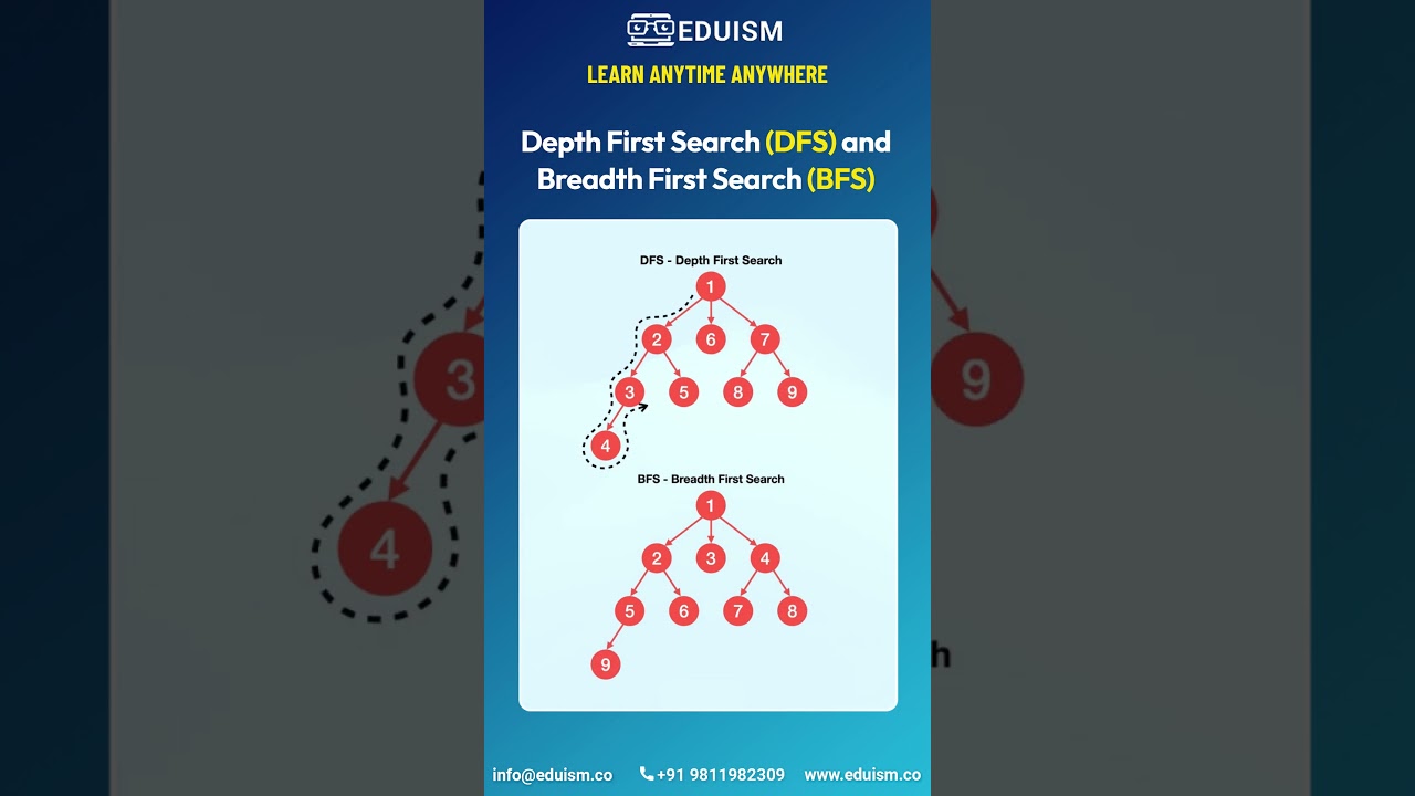 Master DFS & BFS Algorithms: Essential Guide for Developers 🚀