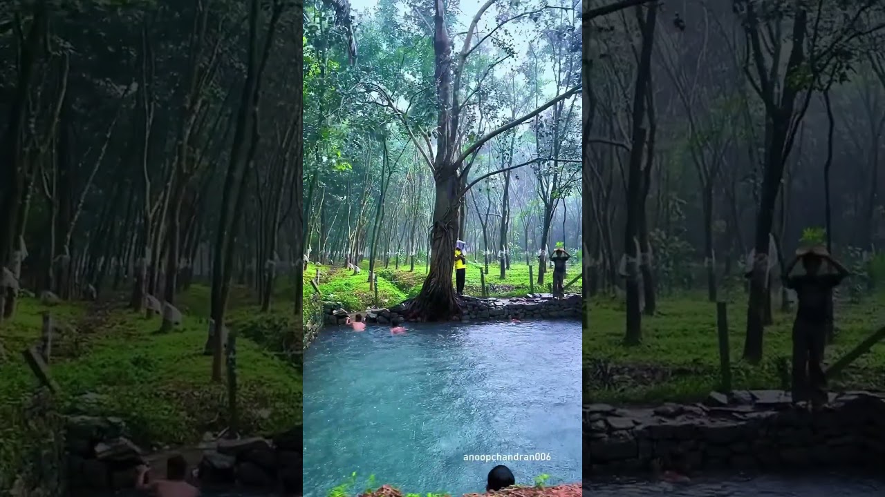 Kerala Monsoon vs Summer: A Comparative Overview