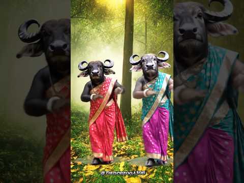 “कुत्ता बजा रहा है चेंडा 🐕🥁 |Desi Funny Animal Video in Saree” #shorts #animaldance #desidance #goat