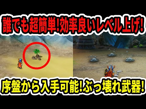 【ドラクエ1＆2】誰でも超簡単！効率の良いレベル上げ！序盤からぶっ壊れ武器入手方法！【Switch2】