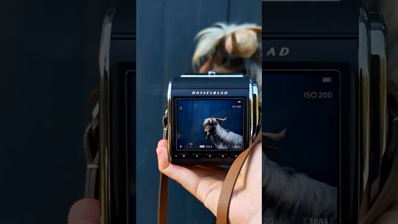 Hasselblad 907X & CFV 100C High-Res Display 📸